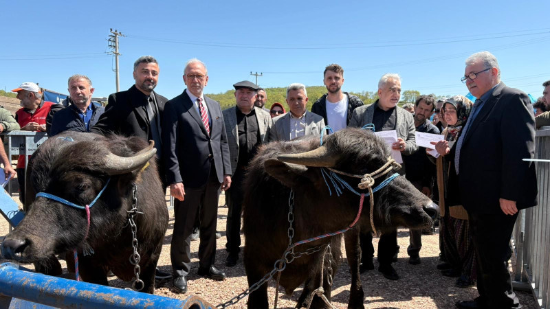 Kocaeli’de hayvancılık, Büyükşehir’le daha kolay