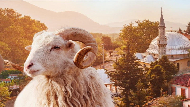 Kurban  Bayramı Tatili 9 Gün Oldu!