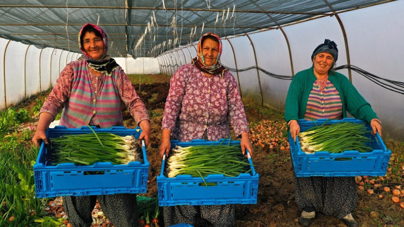 Büyükşehir’den tarıma 236 milyon 210 bin TL destek