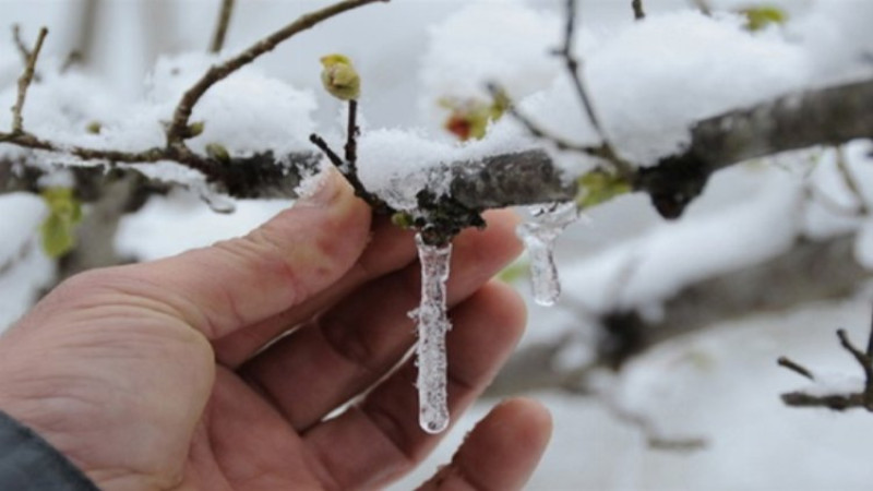 Meteoroloji'den Don ve Buzlanma Uyarısı!