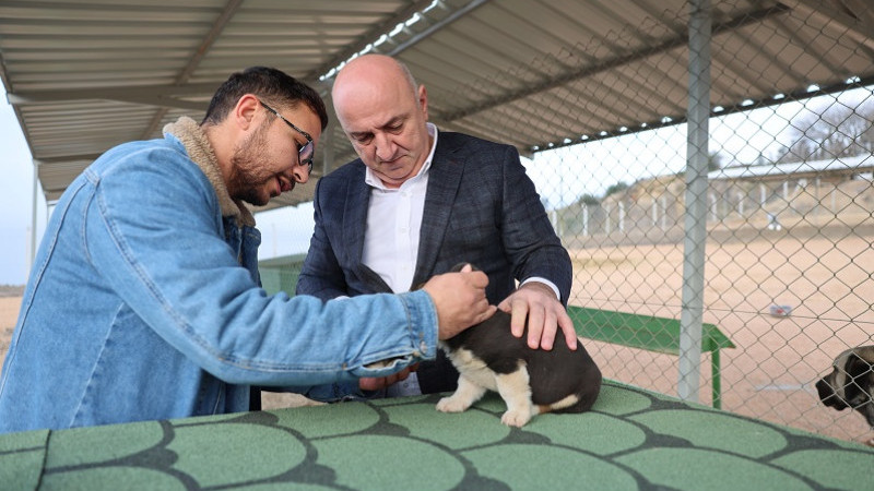 Sokak hayvanları Darıca’da güvenli bir barınağa kavuştu