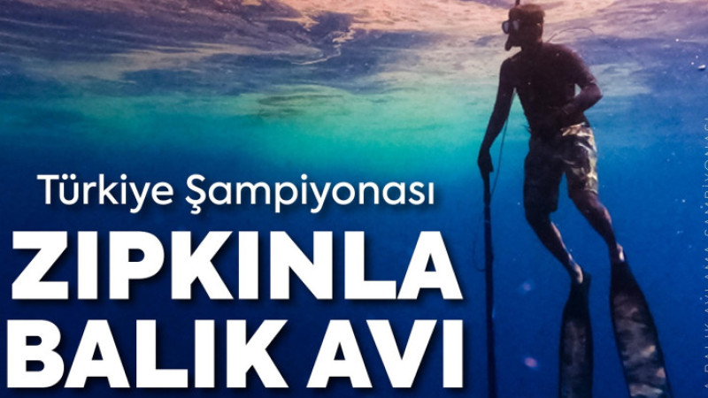 Darıca’da Zıpkınla Balık Avı Şampiyonası heyecanı yaşanacak