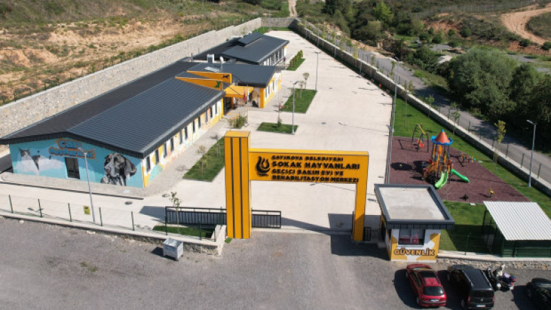 Sokak Hayvanları Geçici Bakımevi, can dostlarımızın yanında