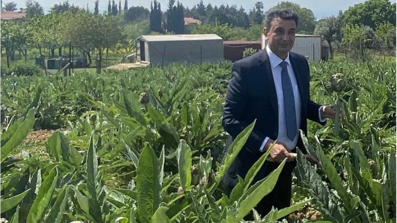 Darıca Enginarı Tescilleniyor!