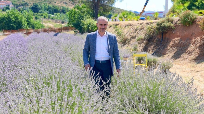 Çayırovalılar, lavanta hasadında bir araya geldi