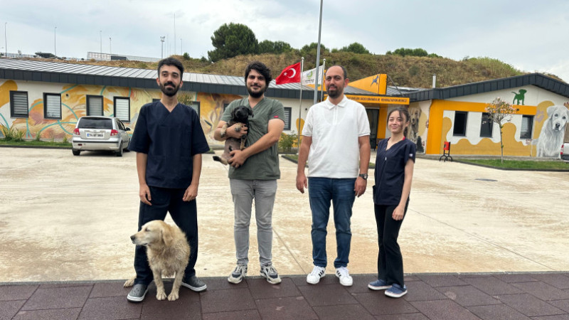 Zifte bulanmıştı, rehabilitasyon merkezinde yaşama tutundu
