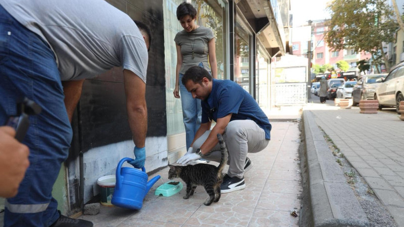 Darıca Belediyesi’nden Can Dostlarımıza Mama ve Su Desteği