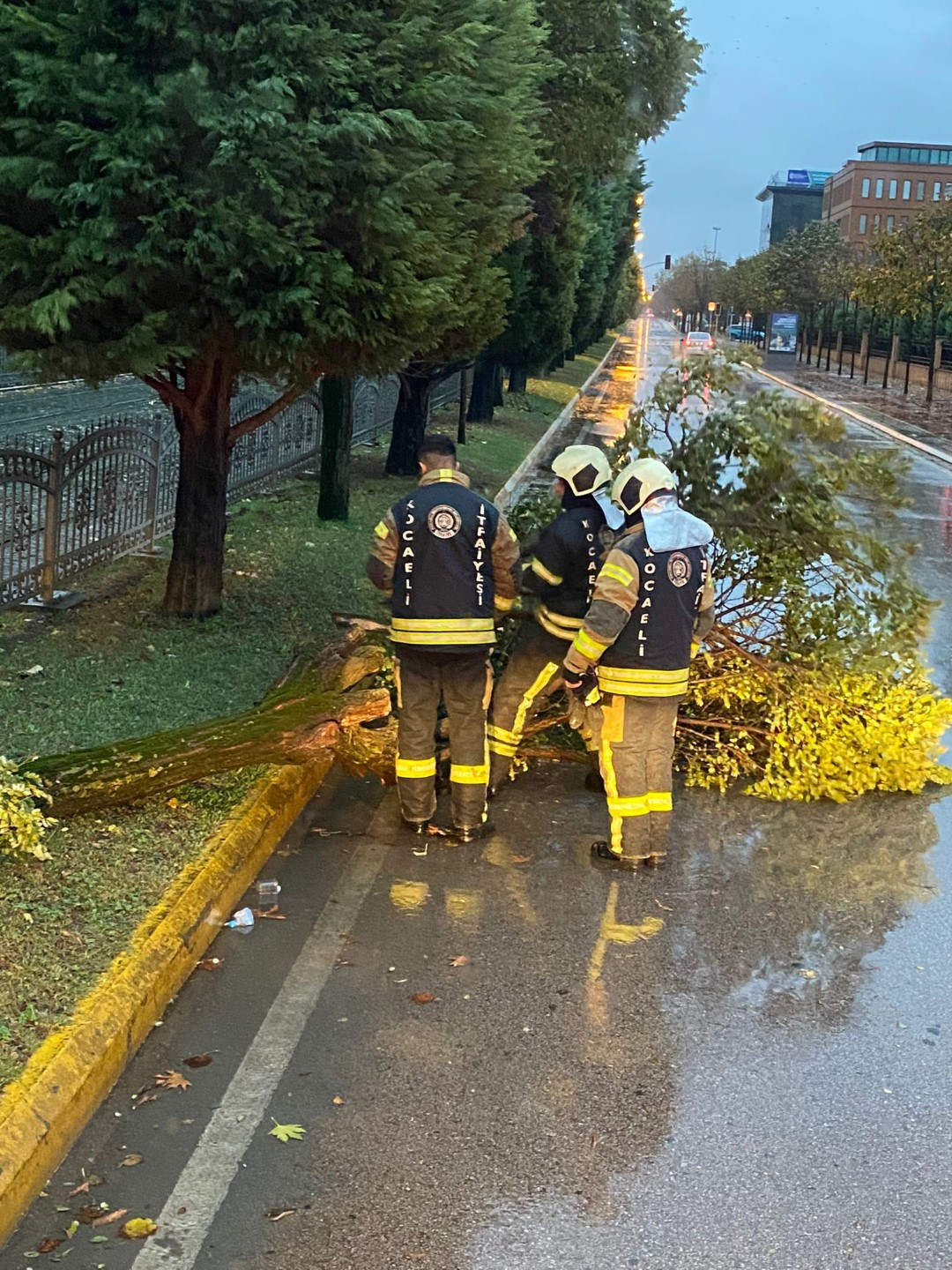 Büyükşehir’den Kocaeli genelinde zorlu mücadele
