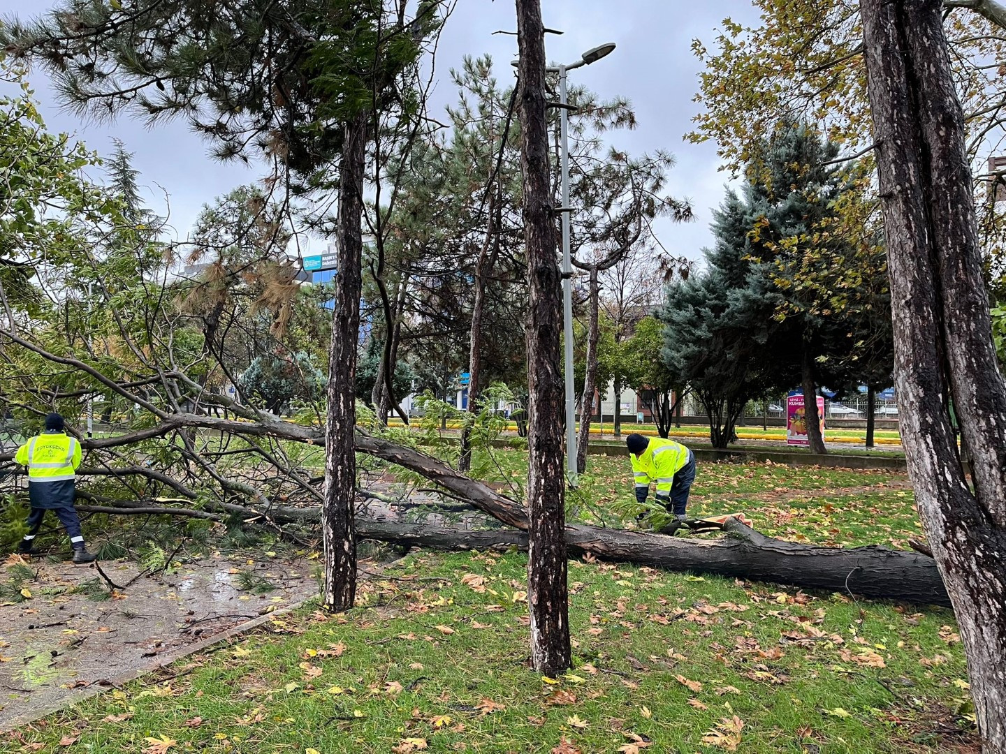 Büyükşehir’den Kocaeli genelinde zorlu mücadele